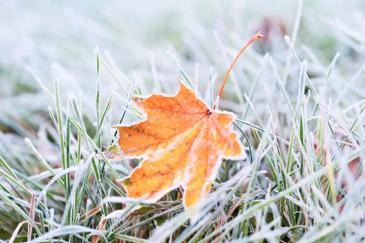 Just days after heat alert, frost warning issued north of Sault