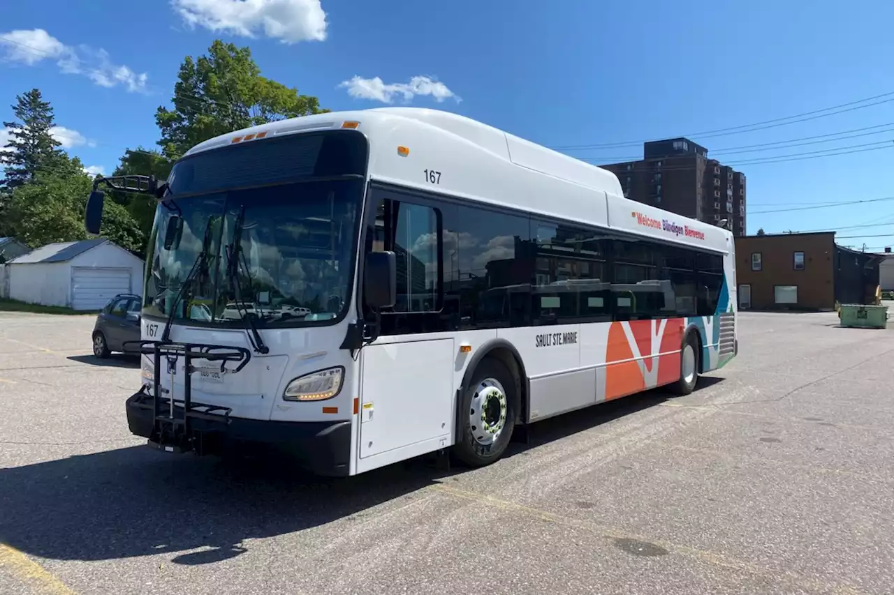 Take a ride on the Sault's new 'Adventure Bus'