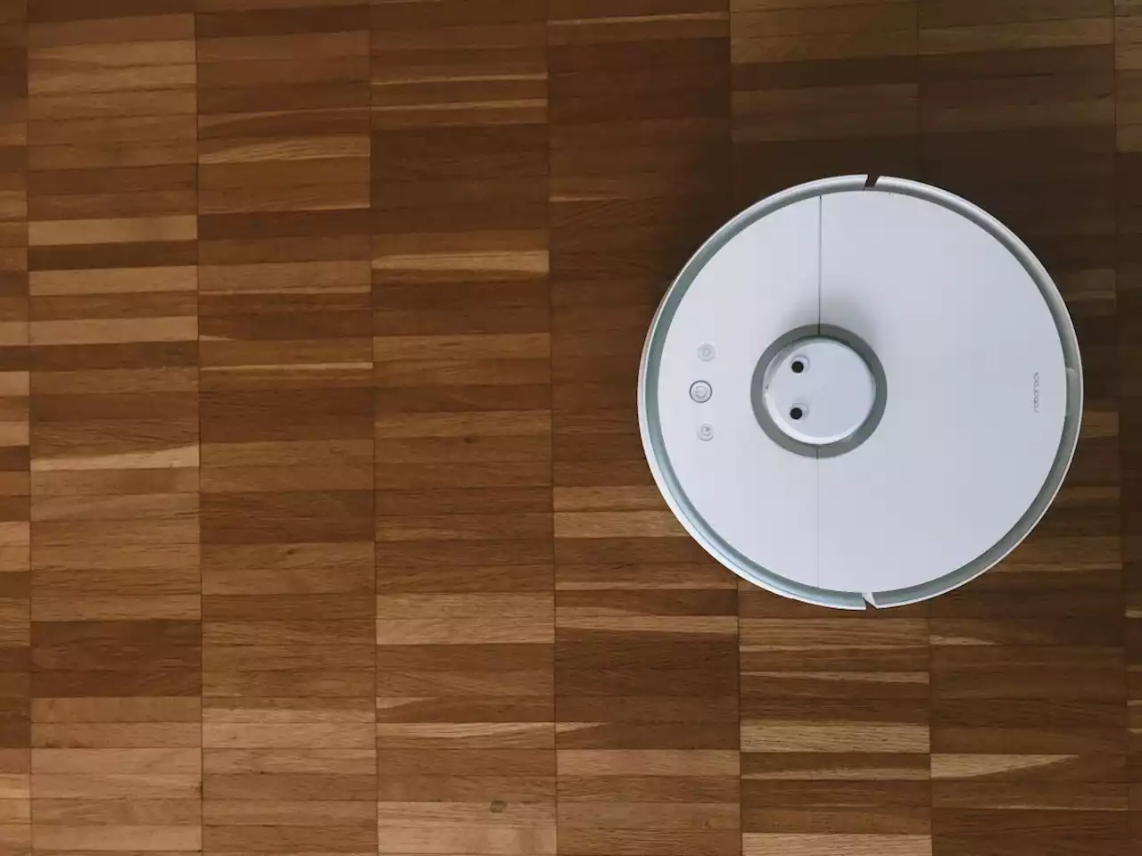 Man&rsquo;s robot vacuum cleaner jams &ndash; then he finds an angry snake inside
