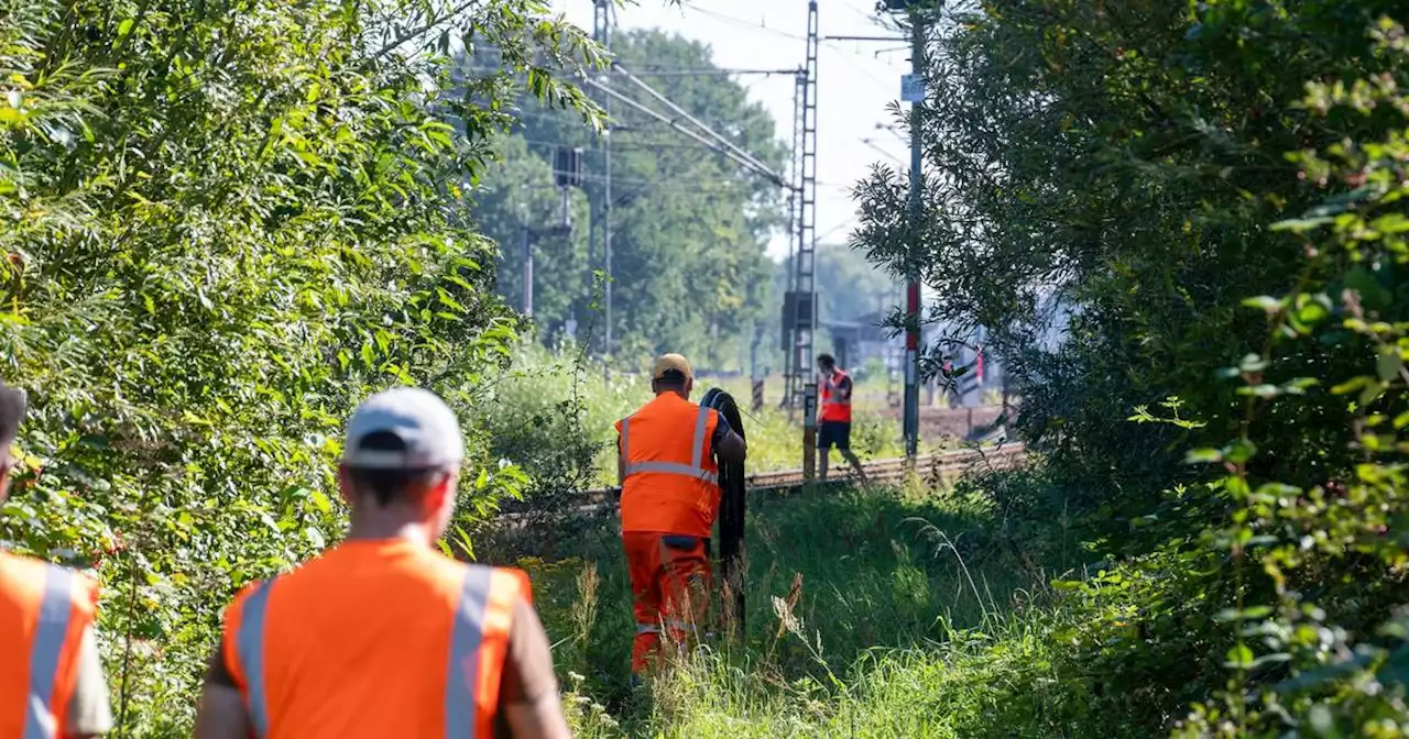 Nach Brandanschlägen: Bahn: Fernverkehr Hamburg-Berlin bis Samstag gestört