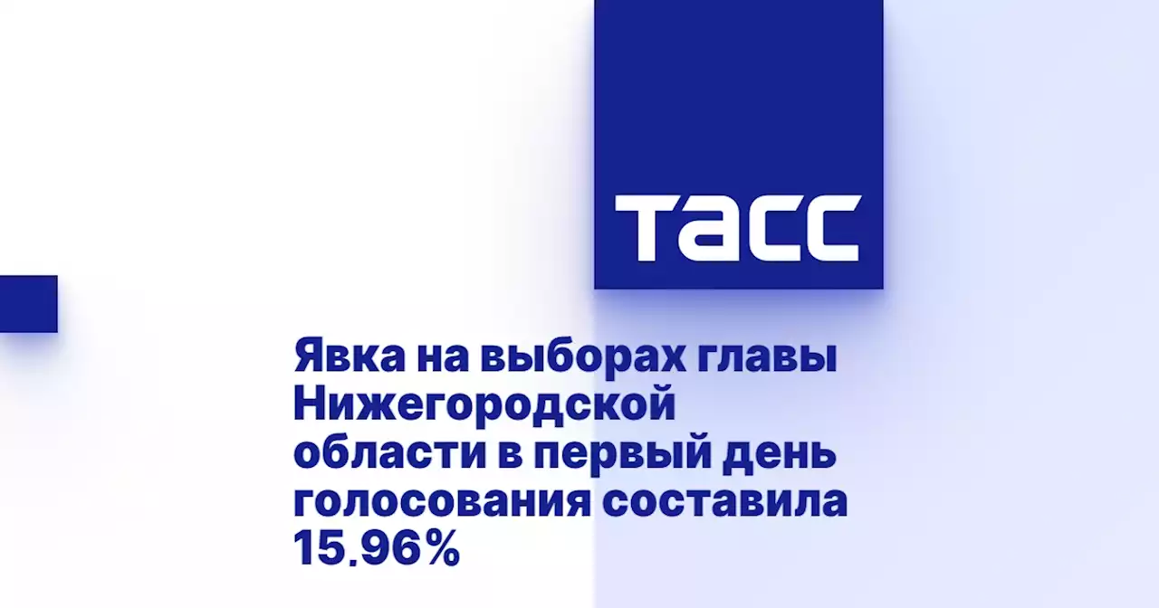 Явка на выборах главы Нижегородской области в первый день голосования составила 15,96%