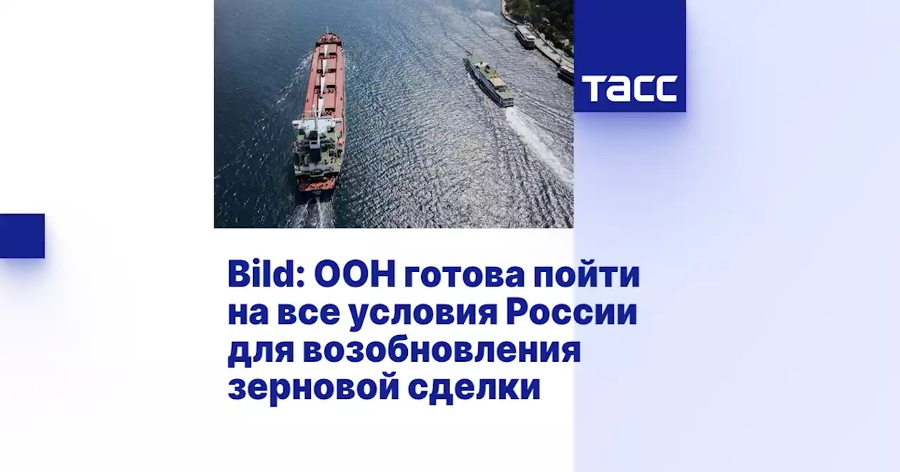 Bild: ООН готова пойти на все условия России для возобновления зерновой сделки