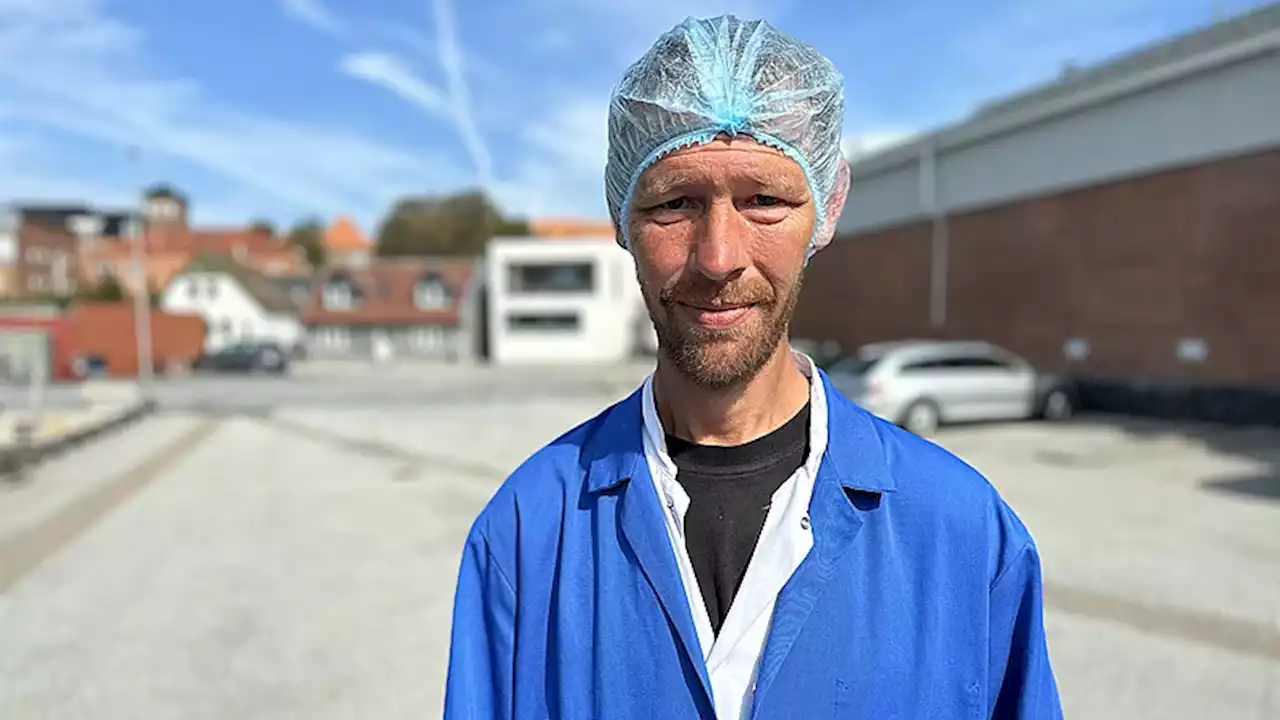 Mangel på slagtesvin giver Dan færre timer: Alternativet var at sænke produktionen og fyre