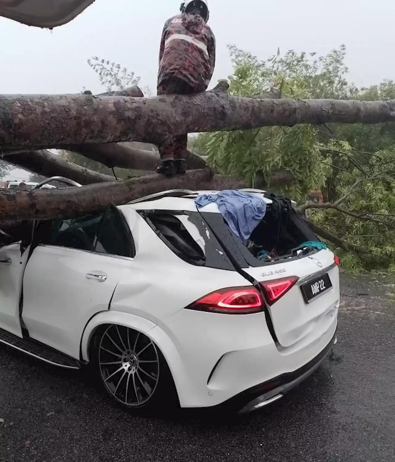 Dua beranak cedera, kereta dihempap pokok tumbang