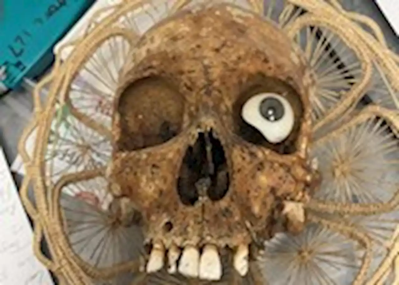 While sorting donations, a Goodwill manager found a human skull, police say