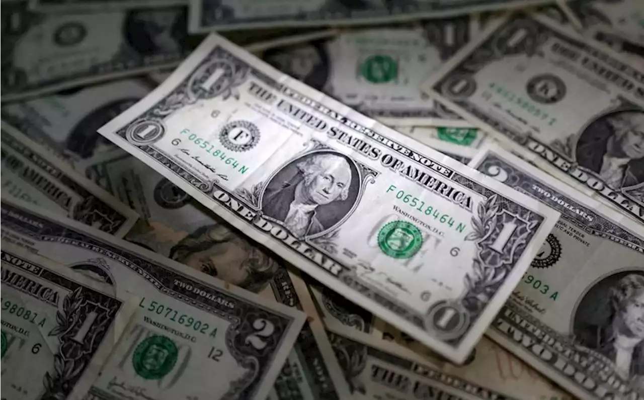 Buoyant dollar on course for its longest weekly winning streak since 2014