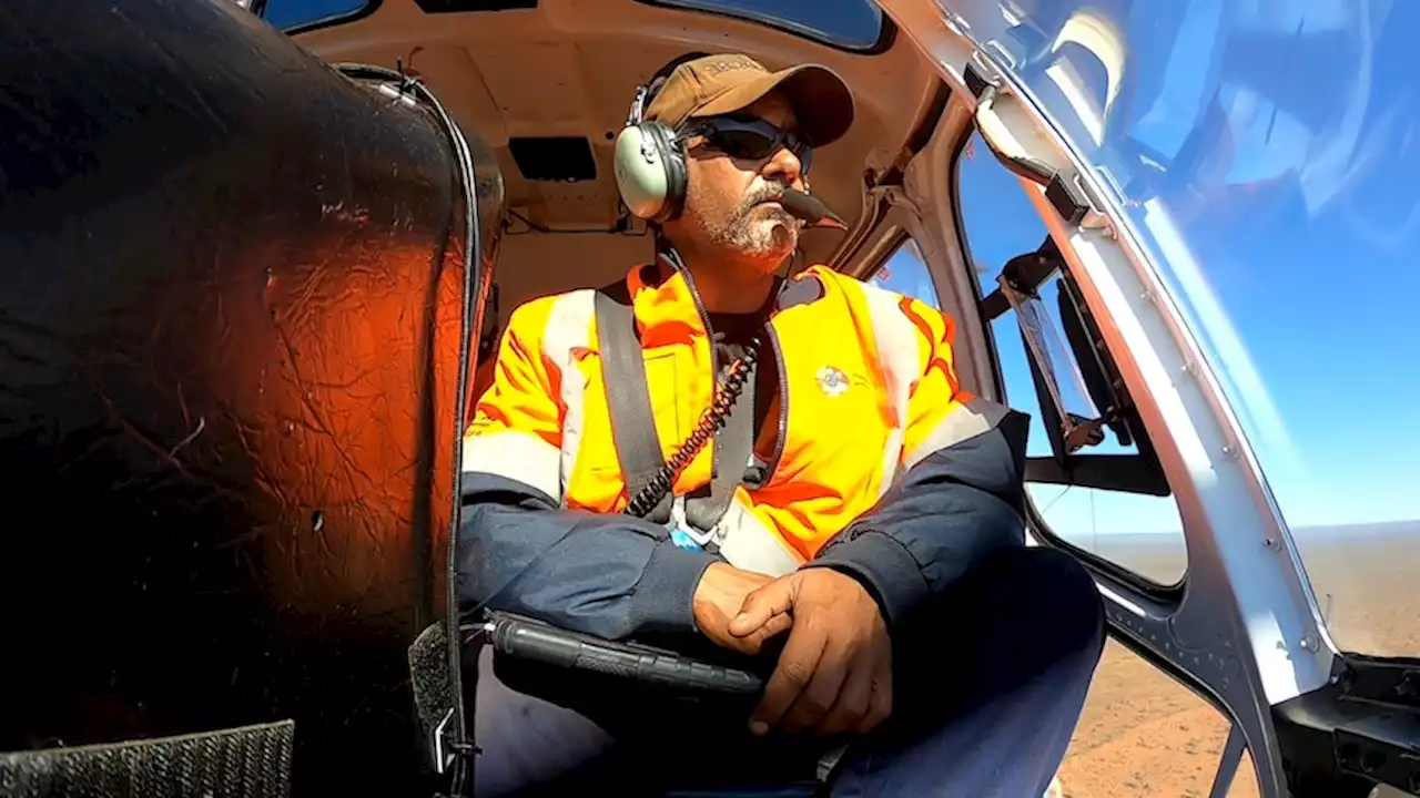 Indigenous rangers drop fire from the skies to protect sandalwood for future generations