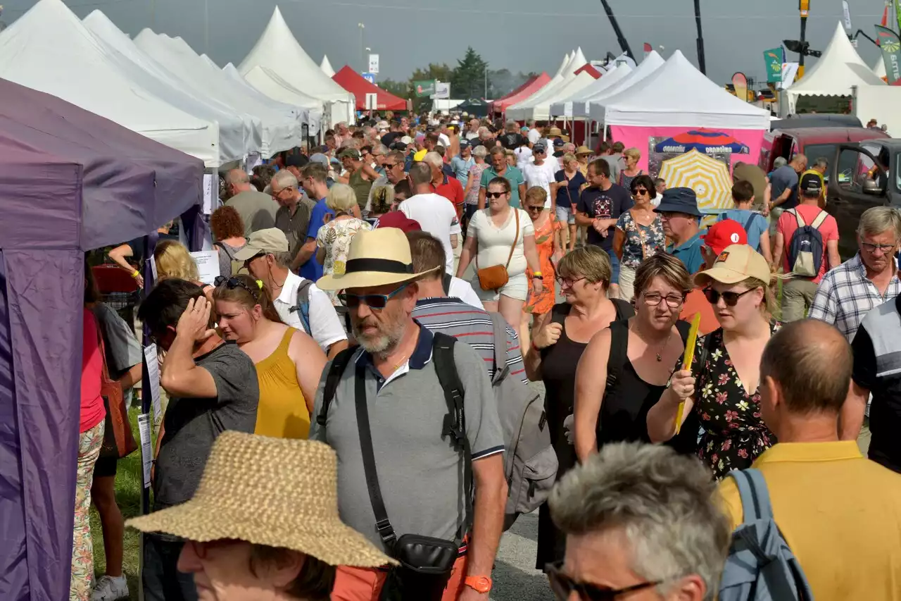 EN IMAGES. Manche : à Lessay, la foire Sainte-Croix s'annonce radieuse