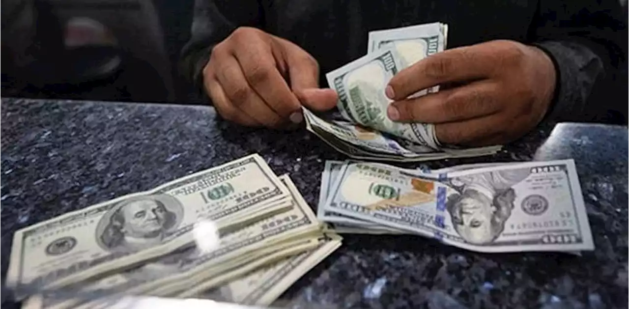 ڈالر کی ذخیرہ اندوزی میں ملوث افراد کیلیے خطرے کی گھنٹی بج گئی