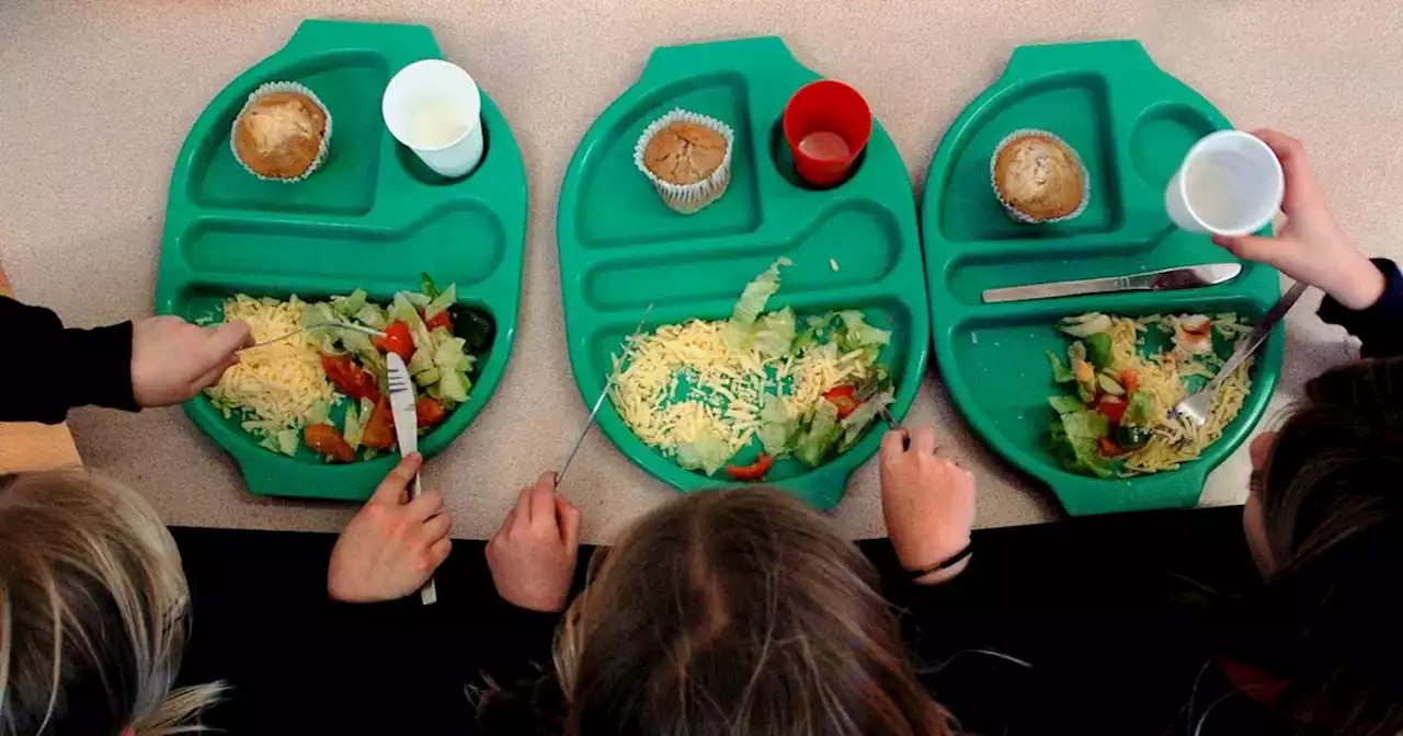 Humza Yousaf challenged to speed-up free school meals for Scots primary pupils