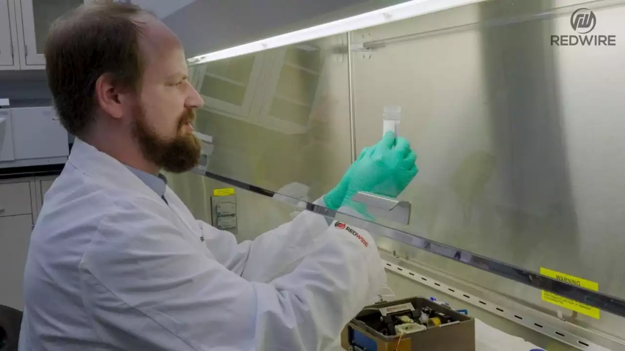 Human knee cartilage 'bioprinted' on ISS in a first