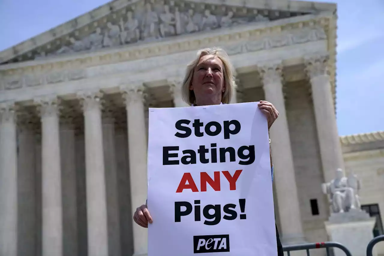 Supreme Court must draw line between journalism and skulduggery in PETA case