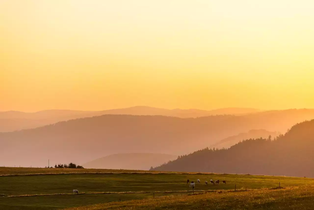 Hauk gegen nennenswerte Erweiterung des Nationalparks