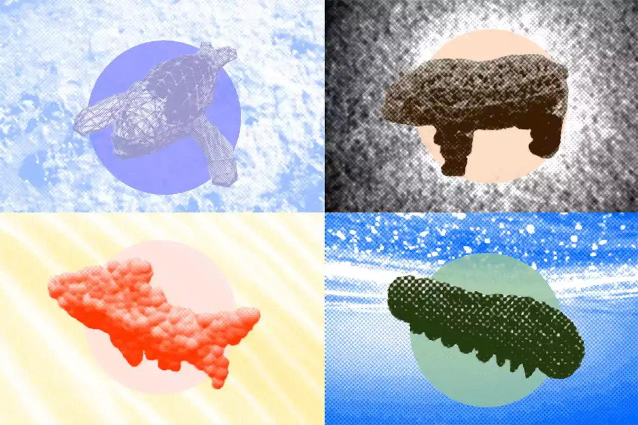 MIT SoftZoo: Open-Source Platform Simulates Wildlife for Soft Robotics Designers