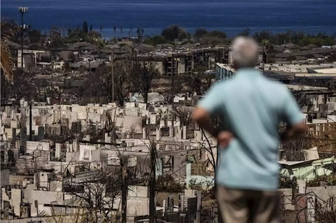 The number of people missing following devastating Maui wildfires has dropped to 66, governor says