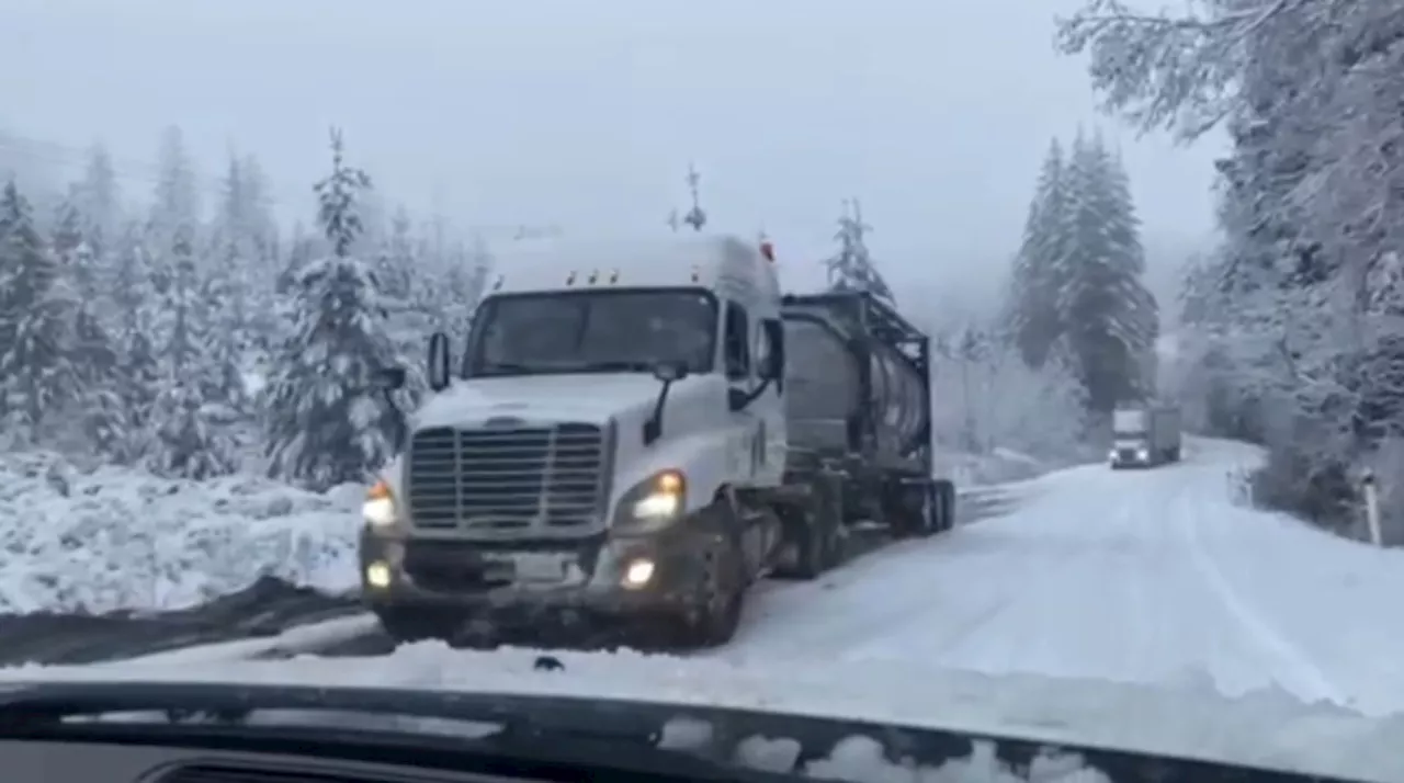 Winter Weather Hits Vancouver Island After Warm December