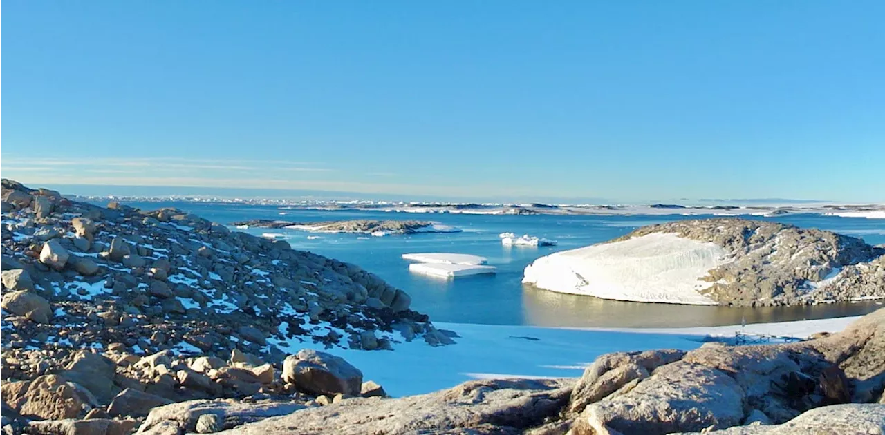 Unprecedented Heatwave Hits Antarctica, Scientists Alarmed