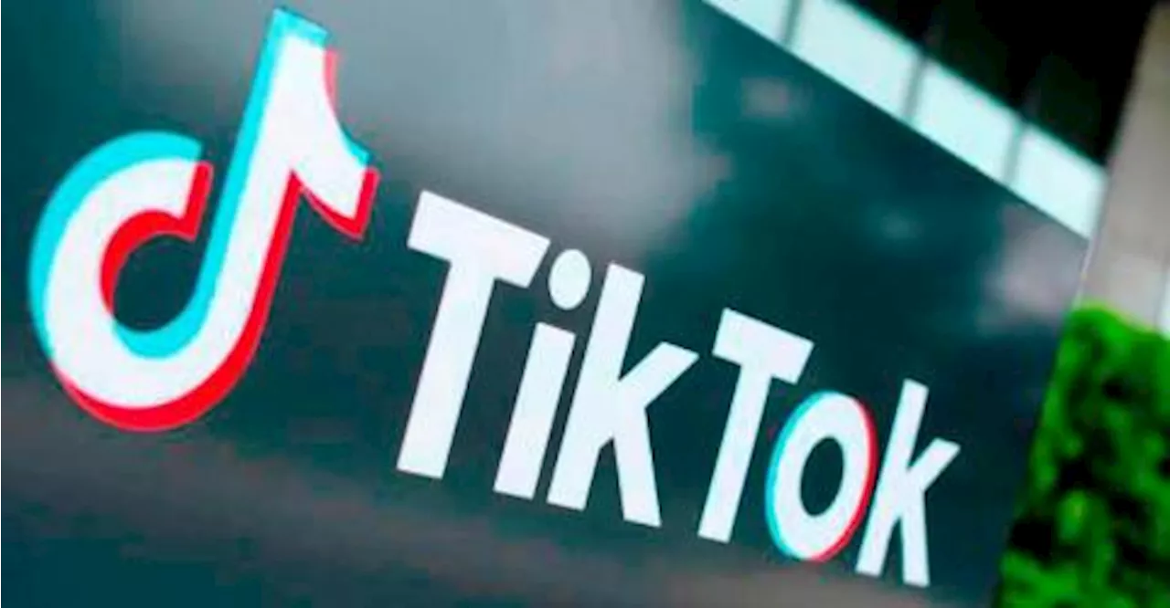 TikTok Becomes a Platform for Political Interaction in Indonesia