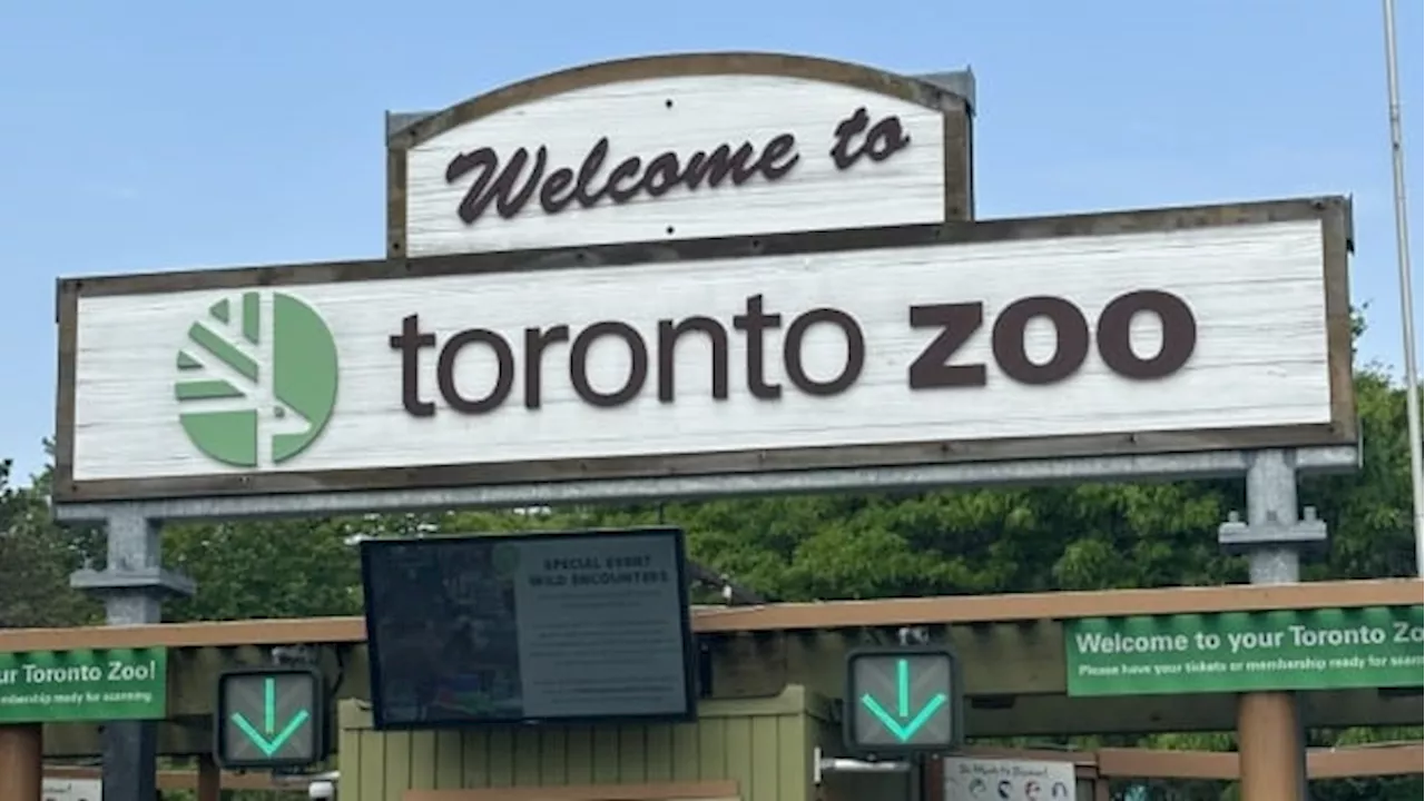 Toronto Zoo Hit by Cybersecurity Attack