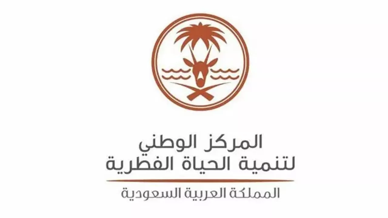 500 بؤرة و41 ألف مستأنس.. نتائج معالجة 'ظاهرة قرود البابون' يبرزها 'الحياة الفطرية'