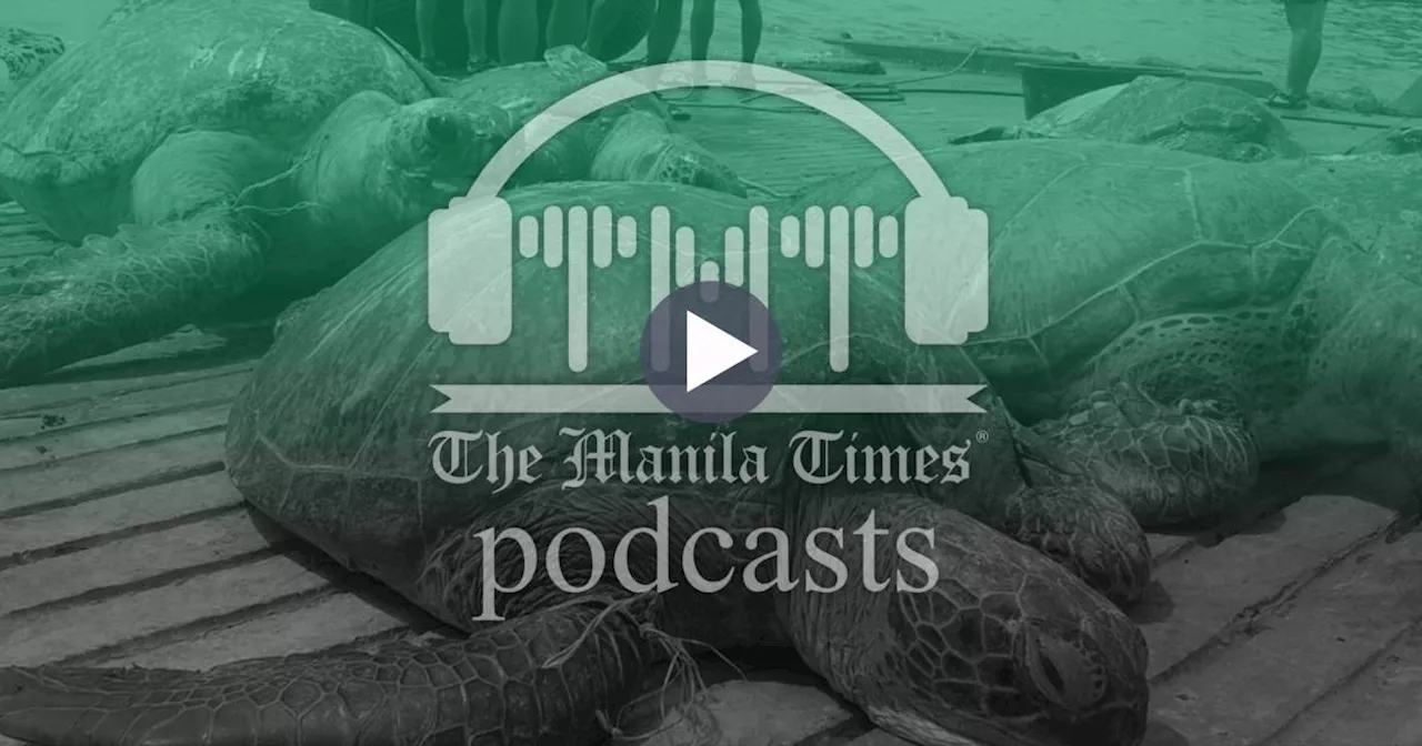South China Sea biodiversity at risk