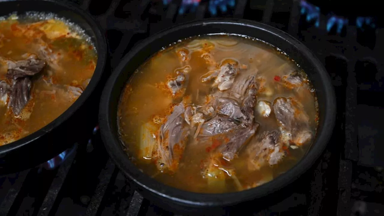 Dog Meat Business Declines in South Korea as Ban Takes Effect