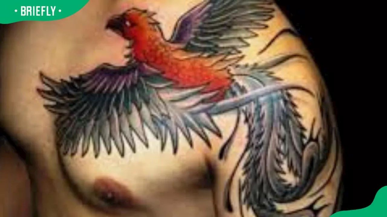 45 Unique Chest Tattoo Ideas for Men