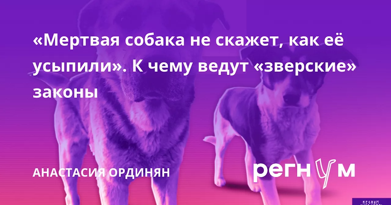 «Мертвая собака не скажет, как её усыпили». К чему ведут «зверские» законы