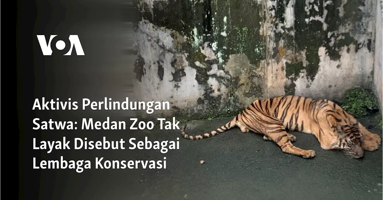 Aktivis Perlindungan Satwa: Medan Zoo Tak Layak Disebut Sebagai Lembaga Konservasi