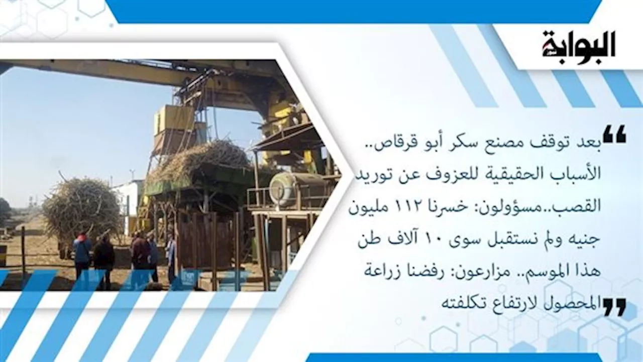 بعد توقف مصنع سكر أبو قرقاص.. الأسباب الحقيقية للعزوف عن توريد القصب..مسئولون: خسرنا 112 مليون جنيه ولم نستقبل سوى 10 آلاف طن هذا الموسم.. مزارعون: رفضنا زراعة المحصول لارتفاع تكلفته
