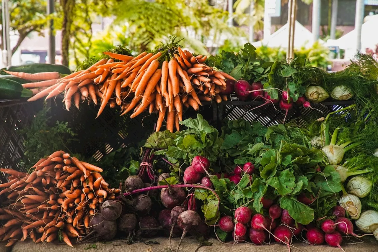 Les légumes les plus efficaces pour perdre du poids