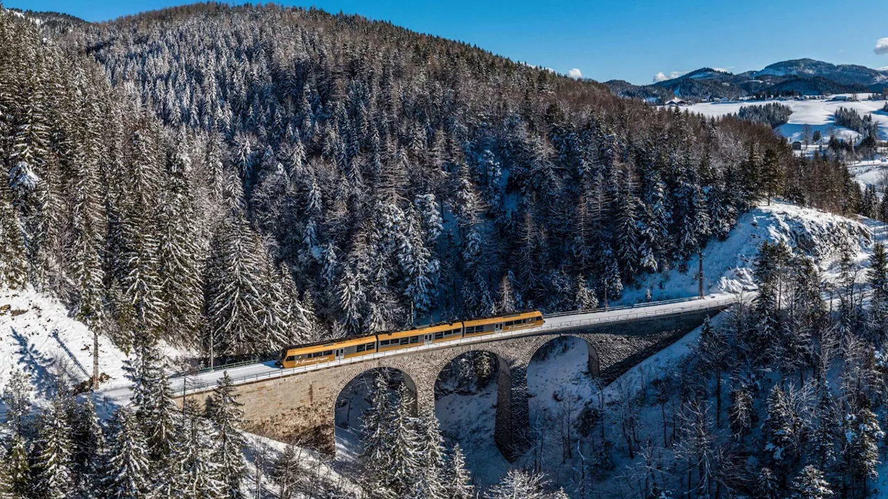 NÖ-Bahnen verzeichnen Fahrgastrekord im Jahr 2023