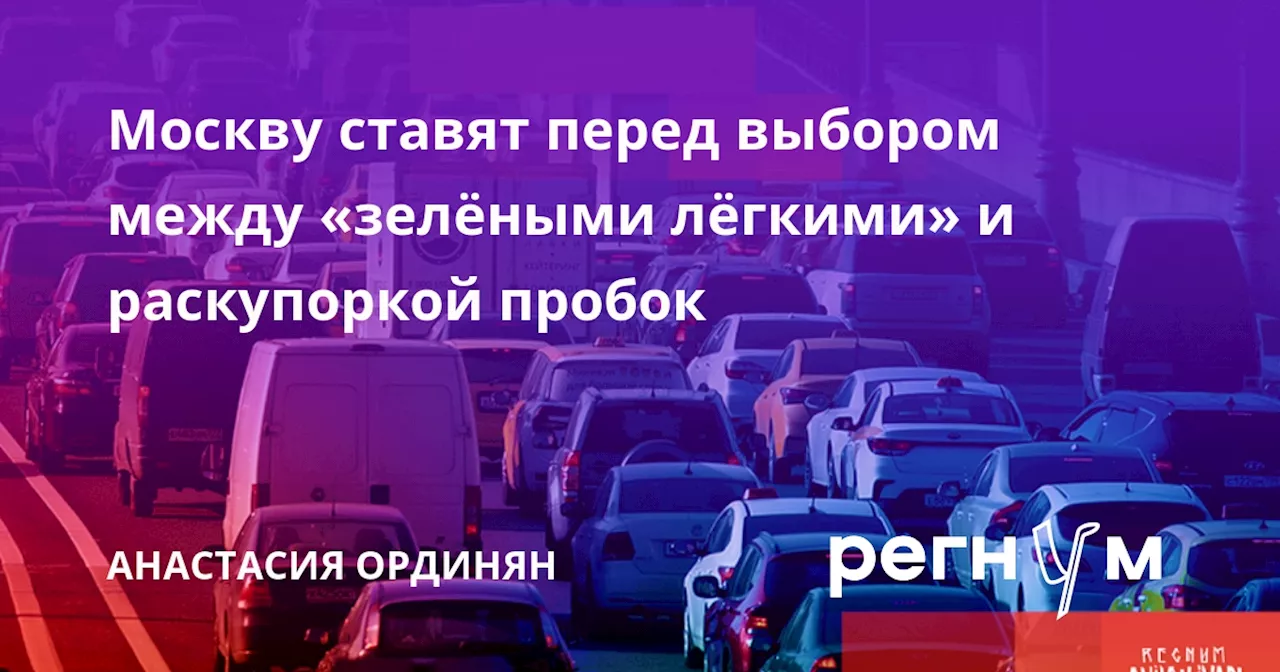 Москву ставят перед выбором между «зелёными лёгкими» и раскупоркой пробок