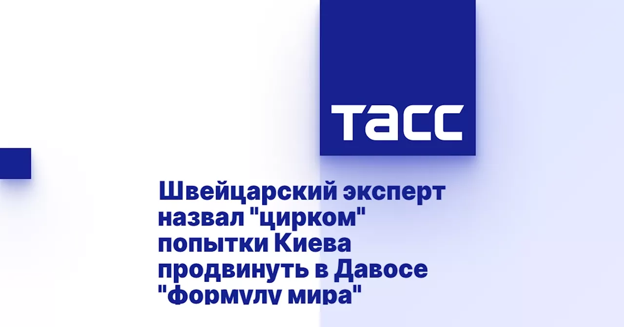 Швейцарский эксперт назвал 'цирком' попытки Киева продвинуть в Давосе 'формулу мира'