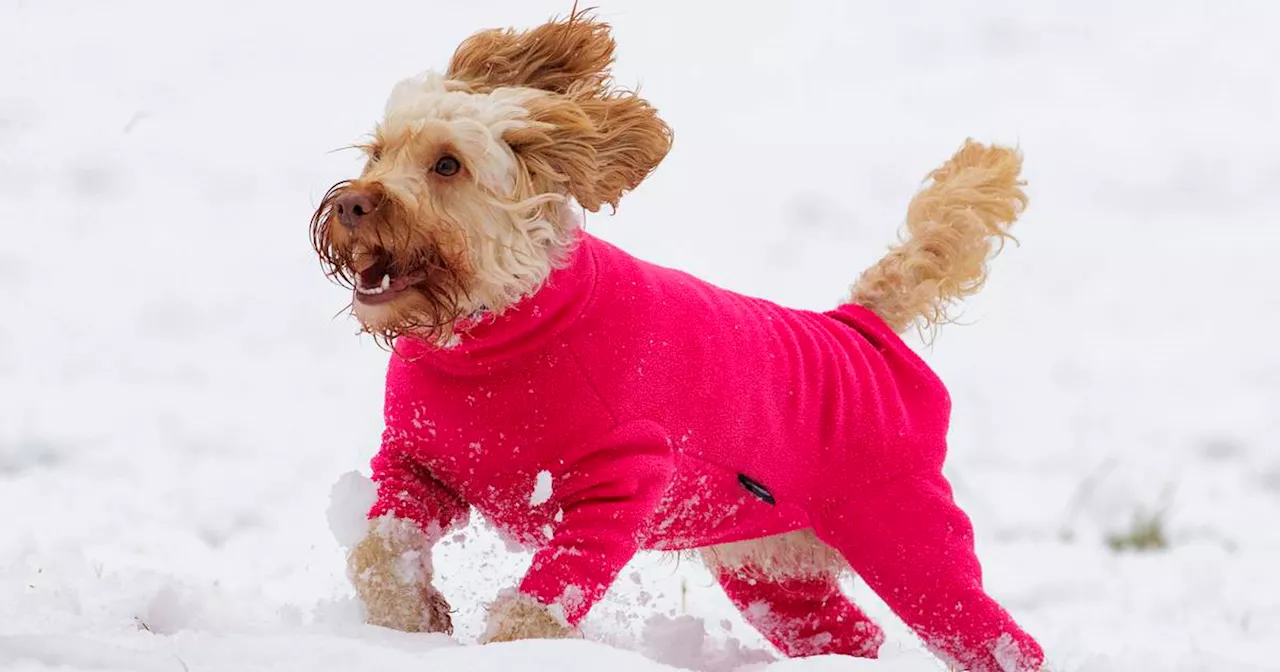 Cold Weather and Snow Showers Continue in Northern Ireland