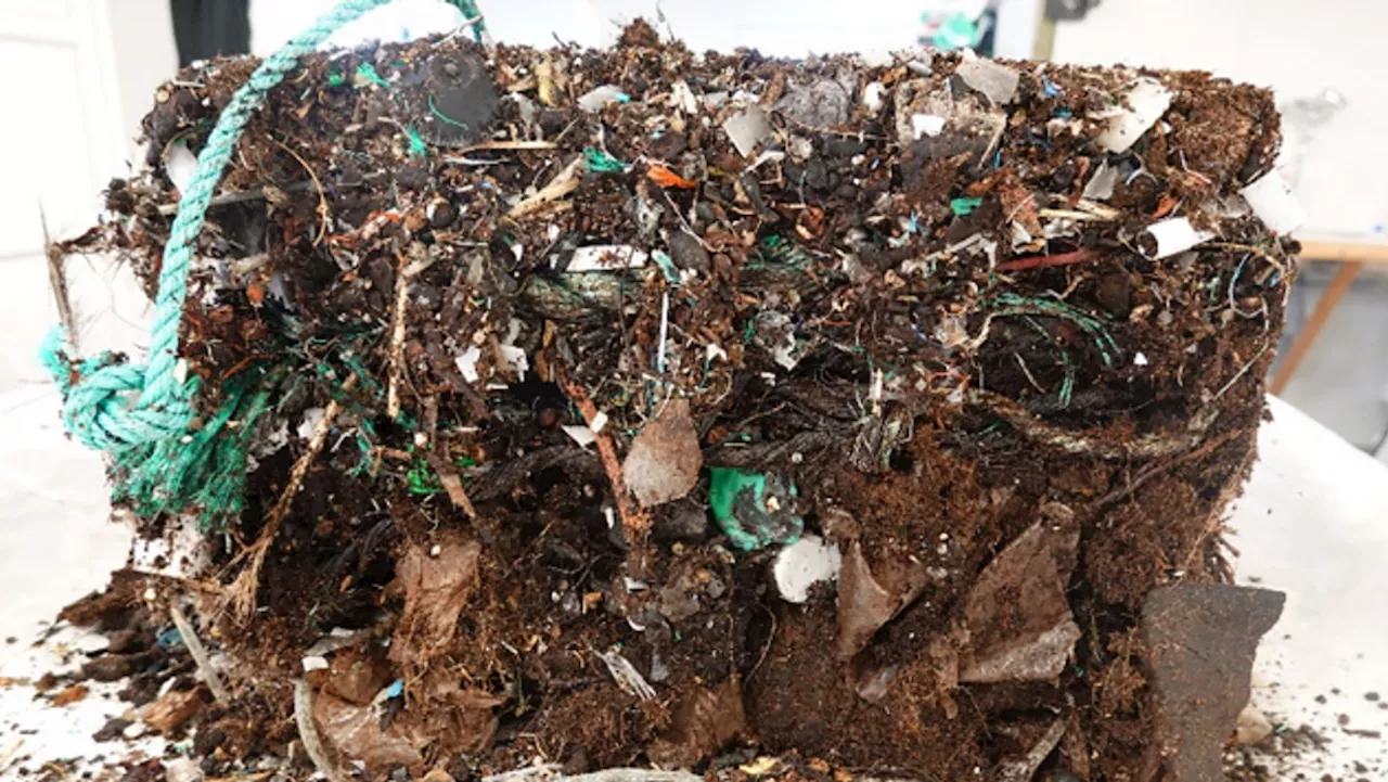 Det må straffe seg å produsere og selge plast