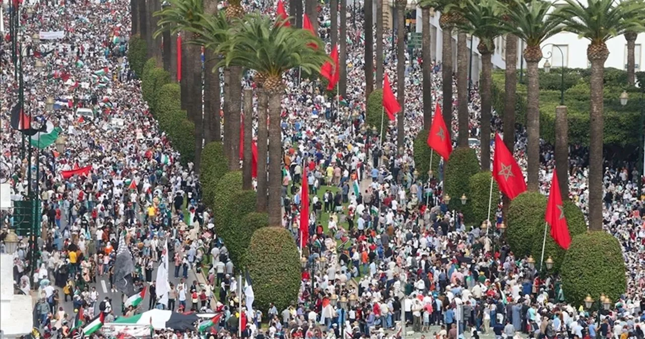 قيادي في 'العدالة والتنمية' المغربي: التطبيع سقط أخلاقيا وسياسيا وشعبيا