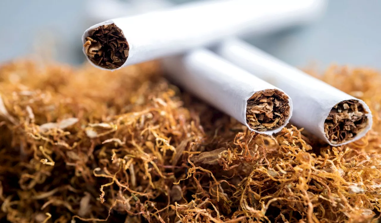 South African Revenue Service to Install CCTV Cameras in Tobacco Warehouses Despite Court Dismissal