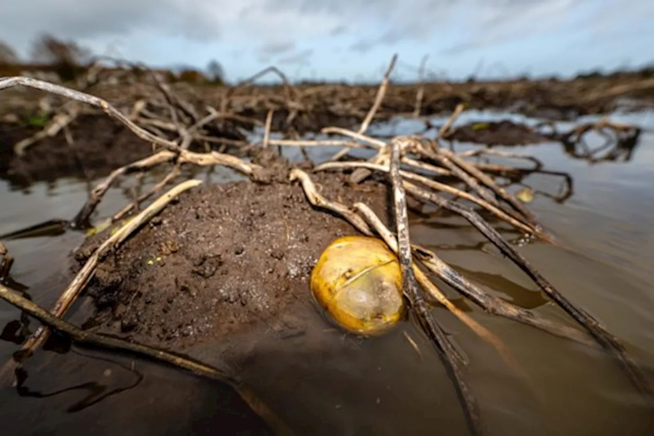 Vooral in provincie Oost-Vlaanderen dreigt wateroverlast, code oranje in Luxemburg