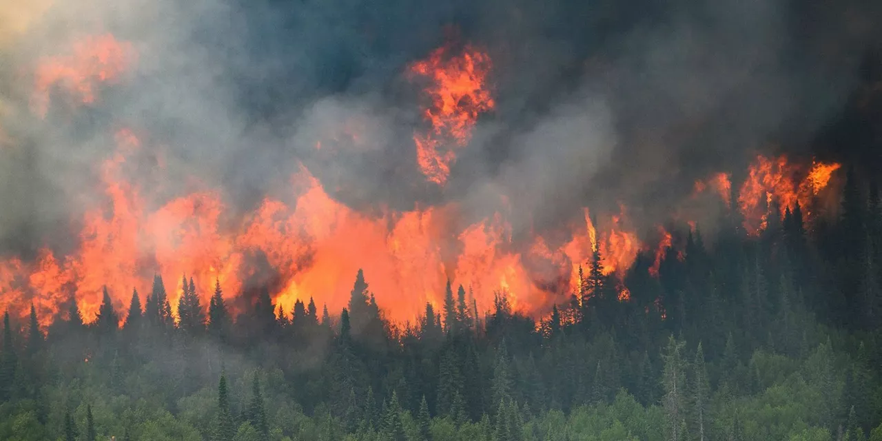 Experts Warn of Potential Wildfire Threat in Canada