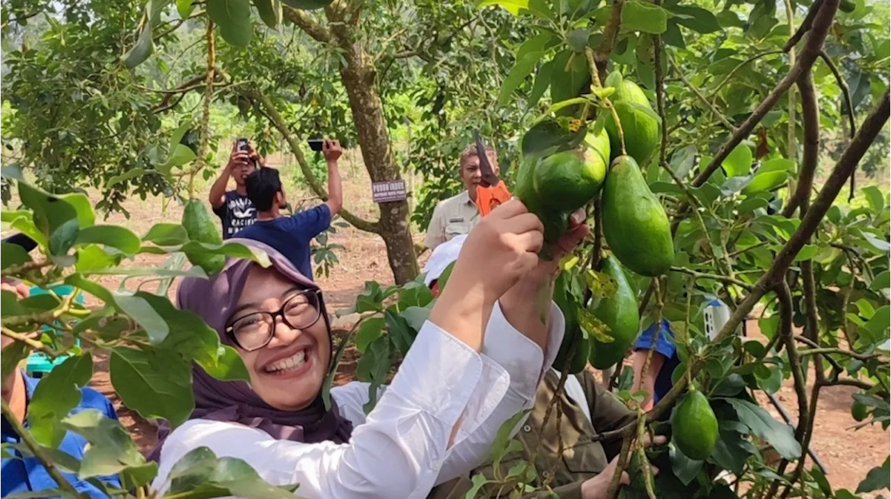 RHL Dukung Ketahanan Pangan dan Tingkatkan Kesejahteraan Masyarakat