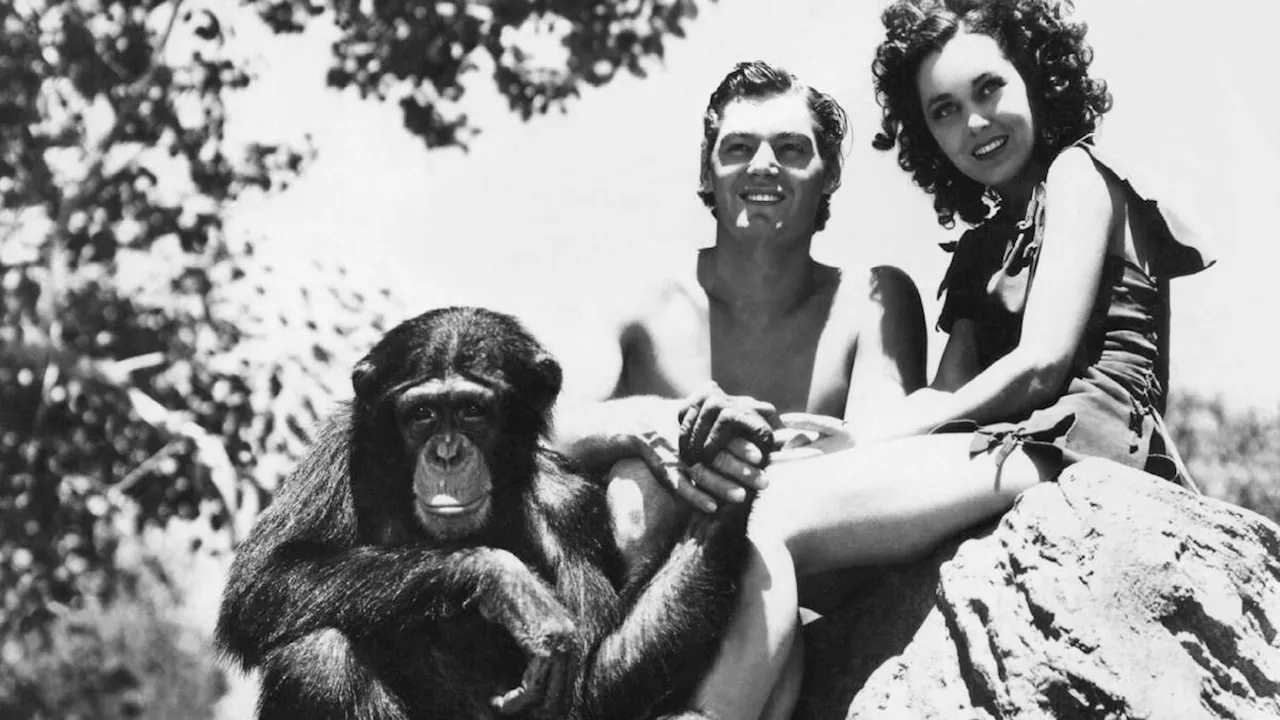 Johnny Weissmüller: il nuotatore e attore leggendario