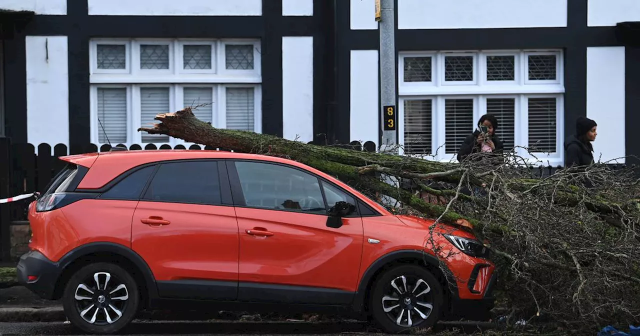 Three Dead as Storm Isha Causes Widespread Damage and Power Outages