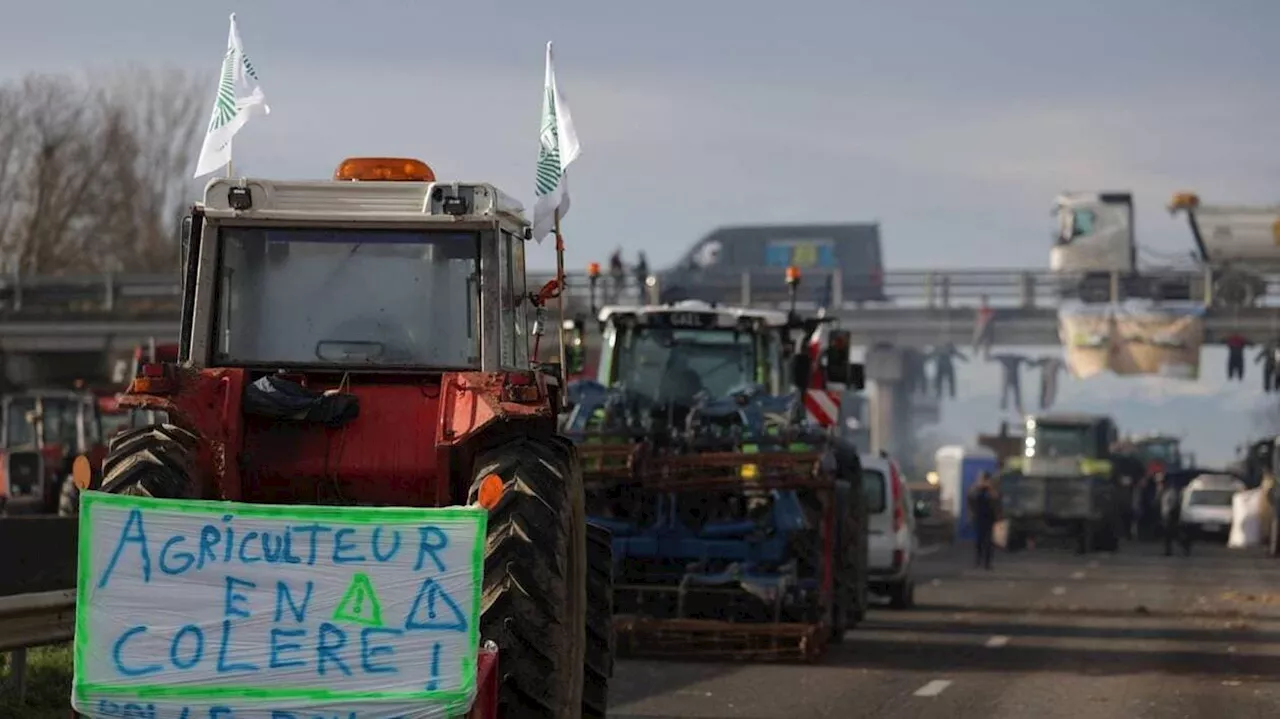 Colère du monde agricole en Europe