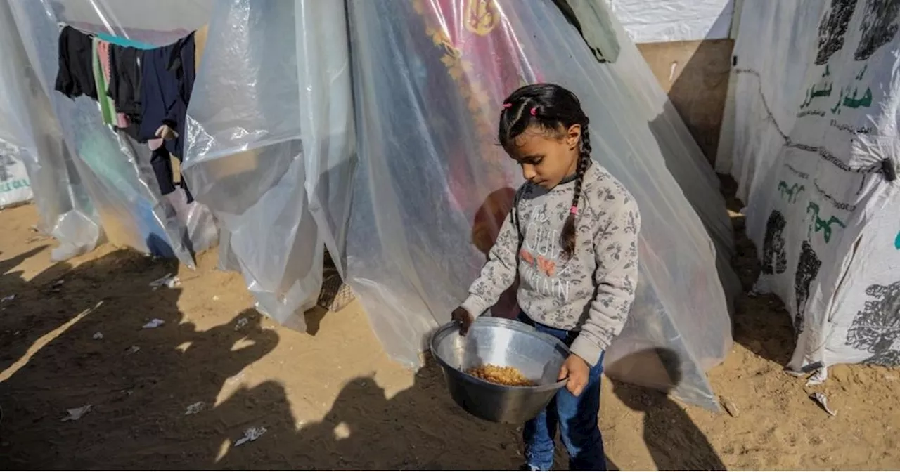 خبير إغاثي: العالم يتحمل مسؤولية إيصال المساعدات لغزة.. دعا لإنزالها جوّا