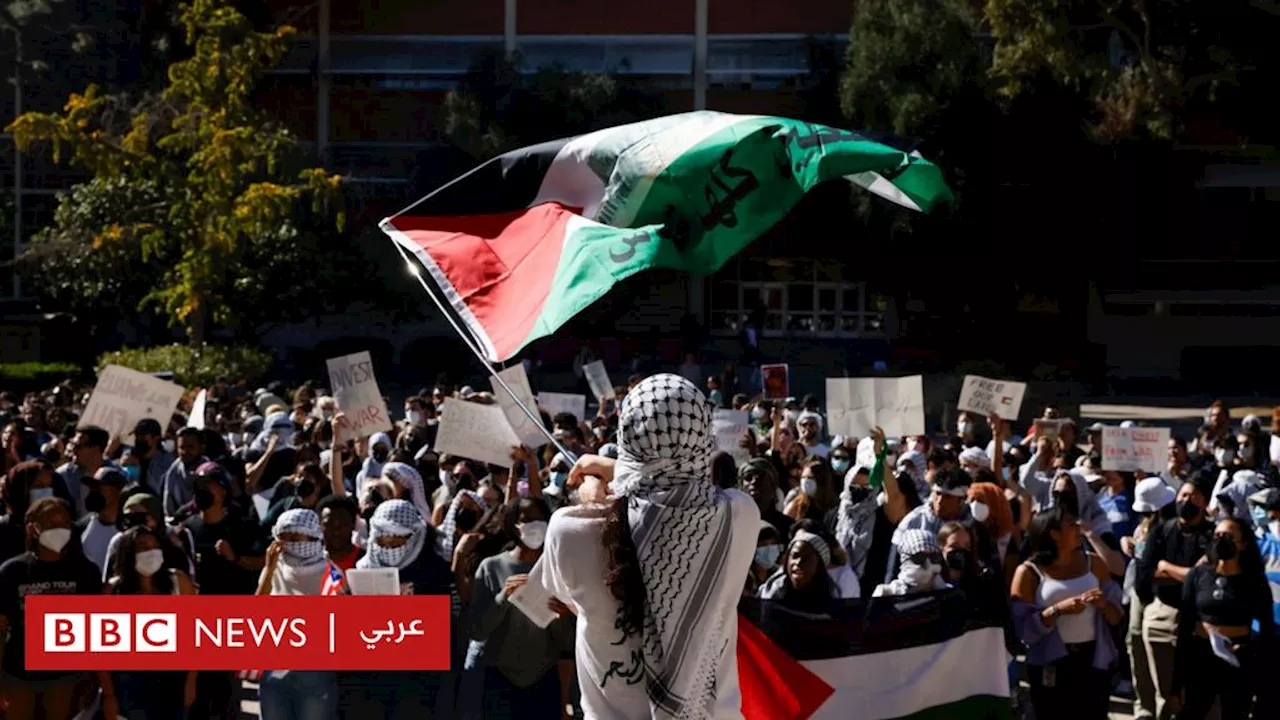 حرب غزة: 'يجب تدريس الطلاب الأمريكيين المؤيدين للفلسطينيين بطريقة تخلصهم من جهلهم'