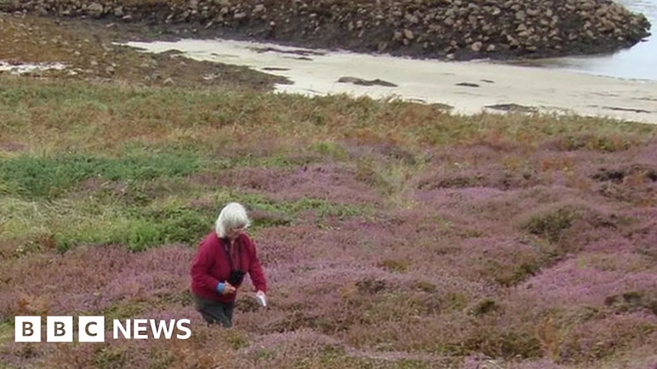 Natural History Lover Searches for Endangered Fern on Isles of Scilly