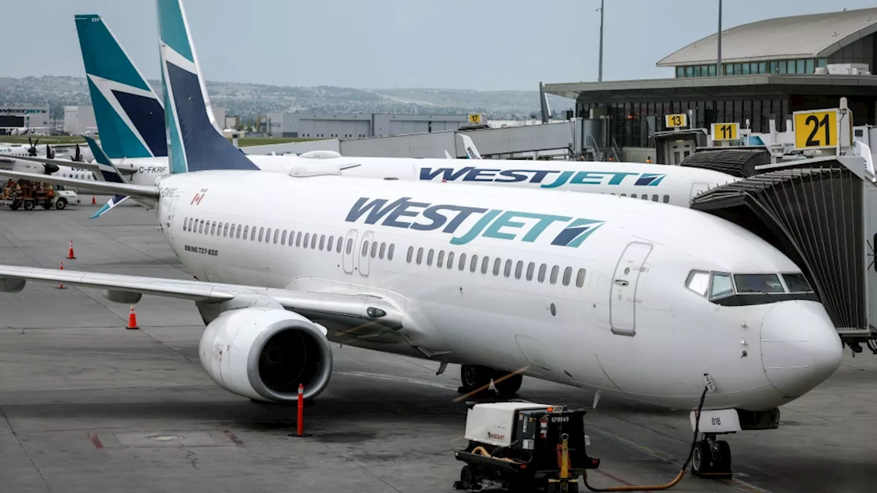 WestJet customers frustrated as flights cancelled amid cold snap