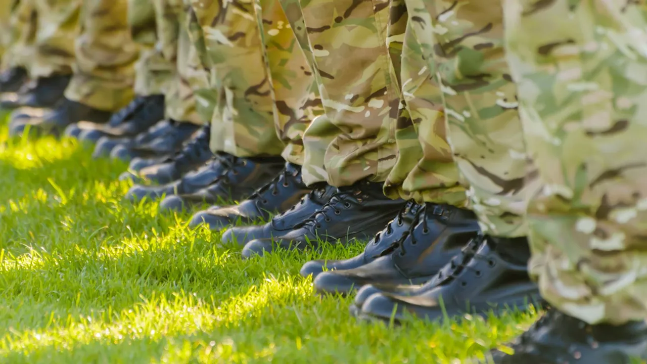 UK may need citizen volunteer army in future, says military analyst