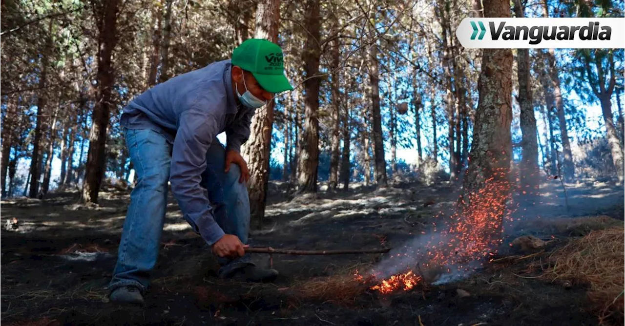 No fogatas, no quema de basuras, no arrojar desperdicios: el llamado de atención de Fedemaderas por El Niño